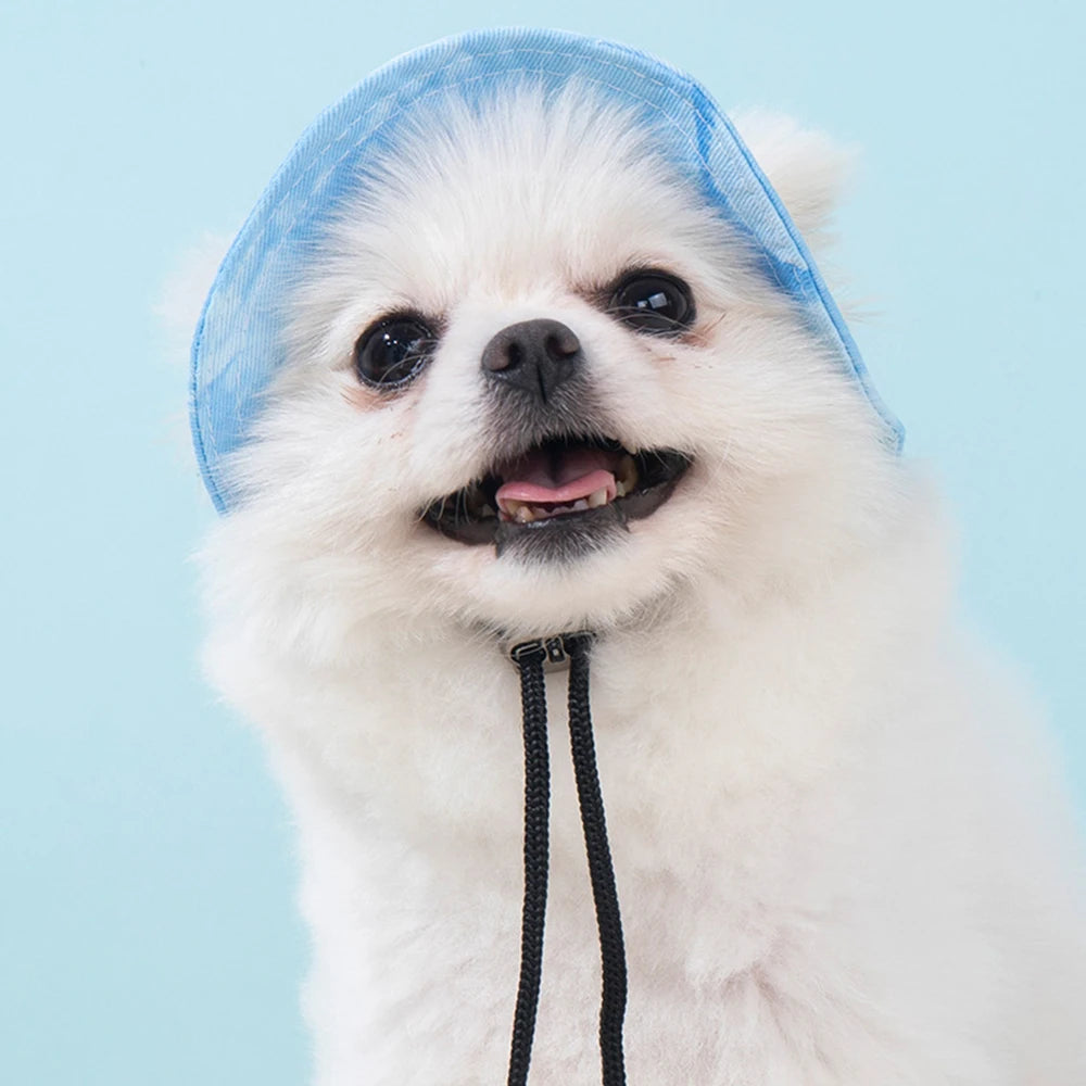 Pet Sun Hat