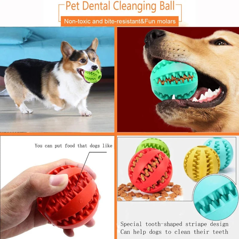 Interactive Dog Chew Ball