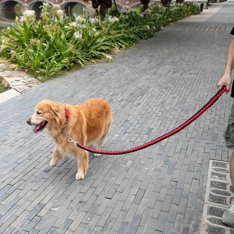 Heavy-Duty Braided Dog Leash