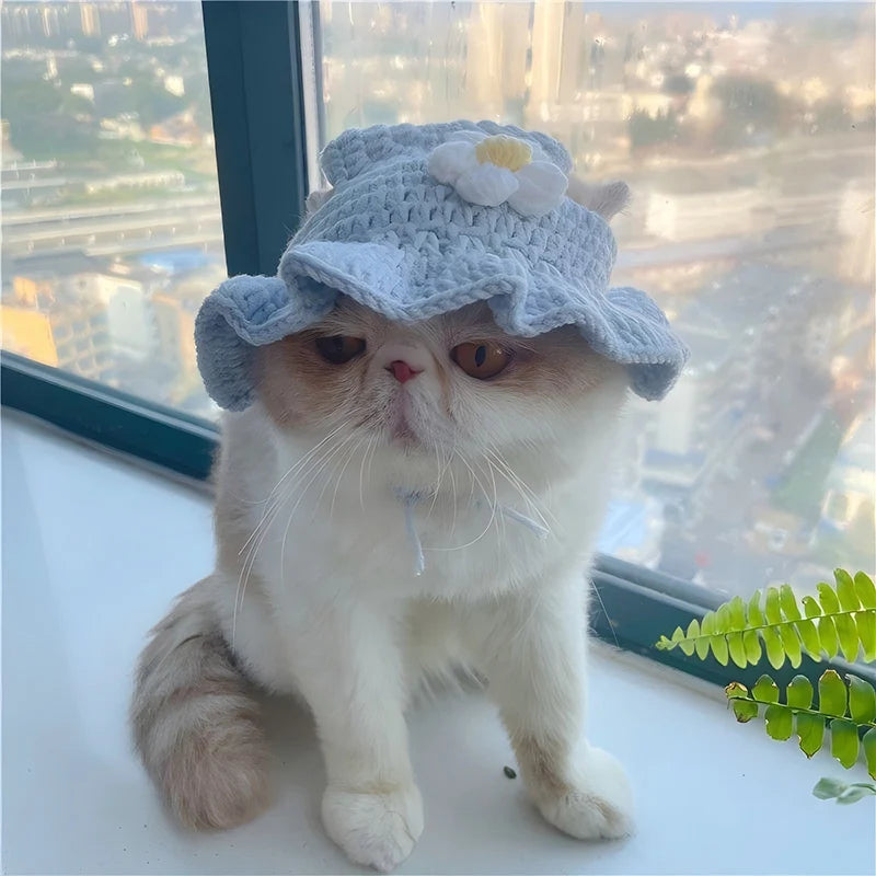 Crochet Pet Hat