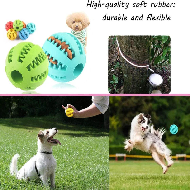 Interactive Dog Chew Ball