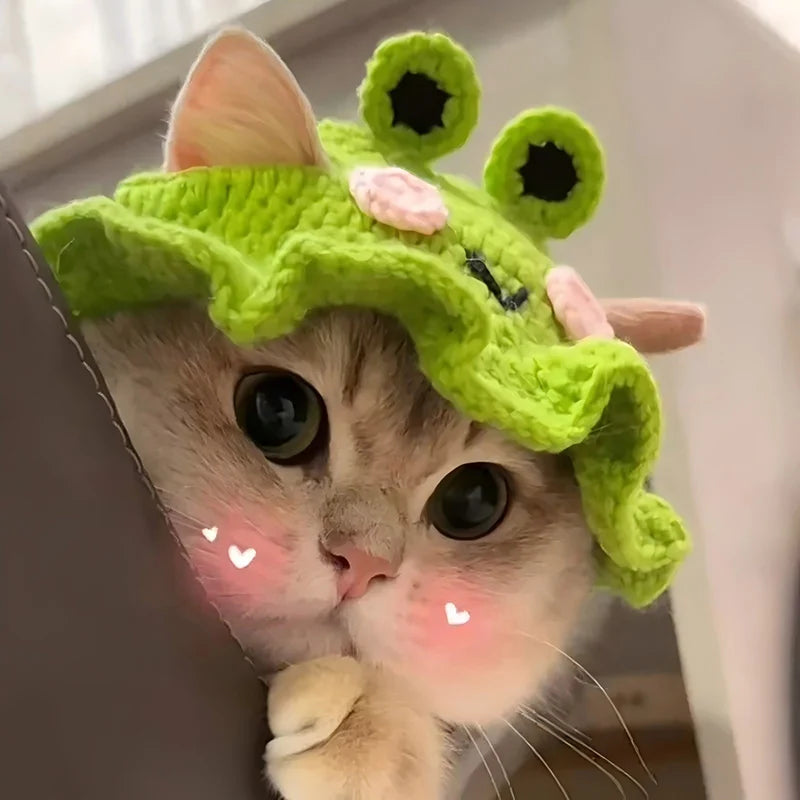 Crochet Pet Hat