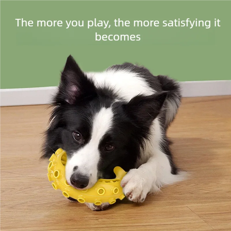 Dog Chew Toy