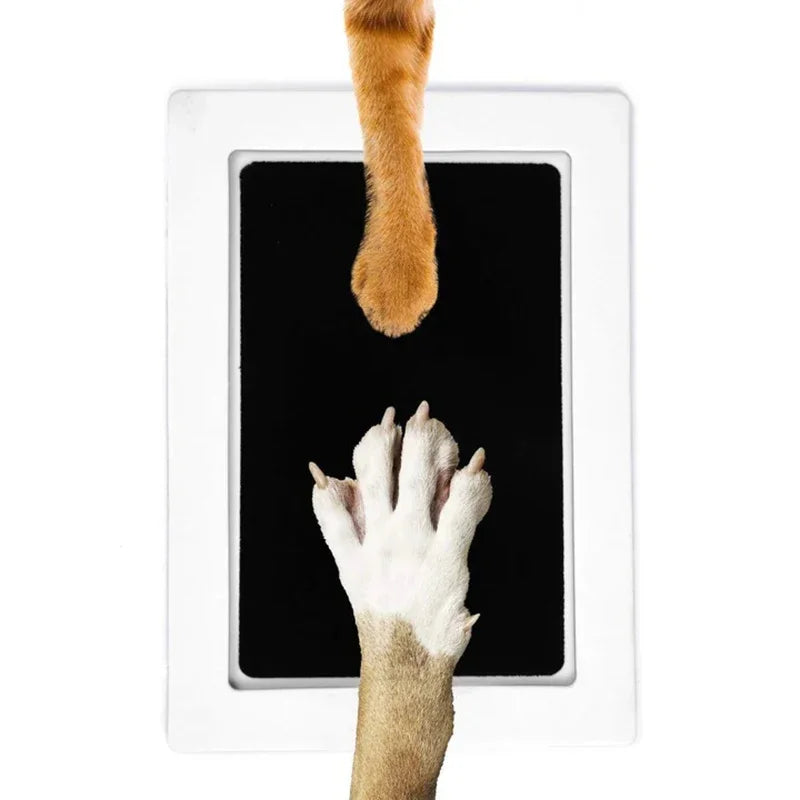 Pet Paw Print Kit