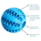 Interactive Dog Chew Ball