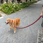 Heavy-Duty Braided Dog Leash