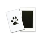 Pet Paw Print Kit