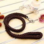 Heavy-Duty Braided Dog Leash